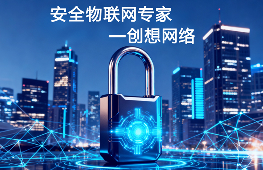 深圳市创想网络系统有限公司